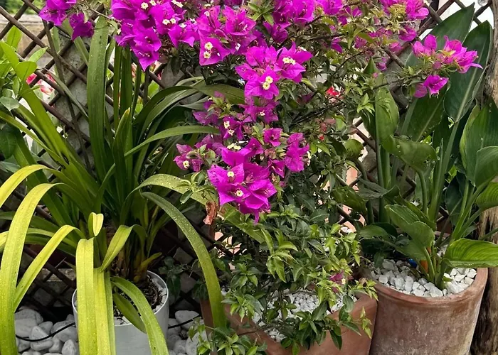 Mamme Carine Holiday home *